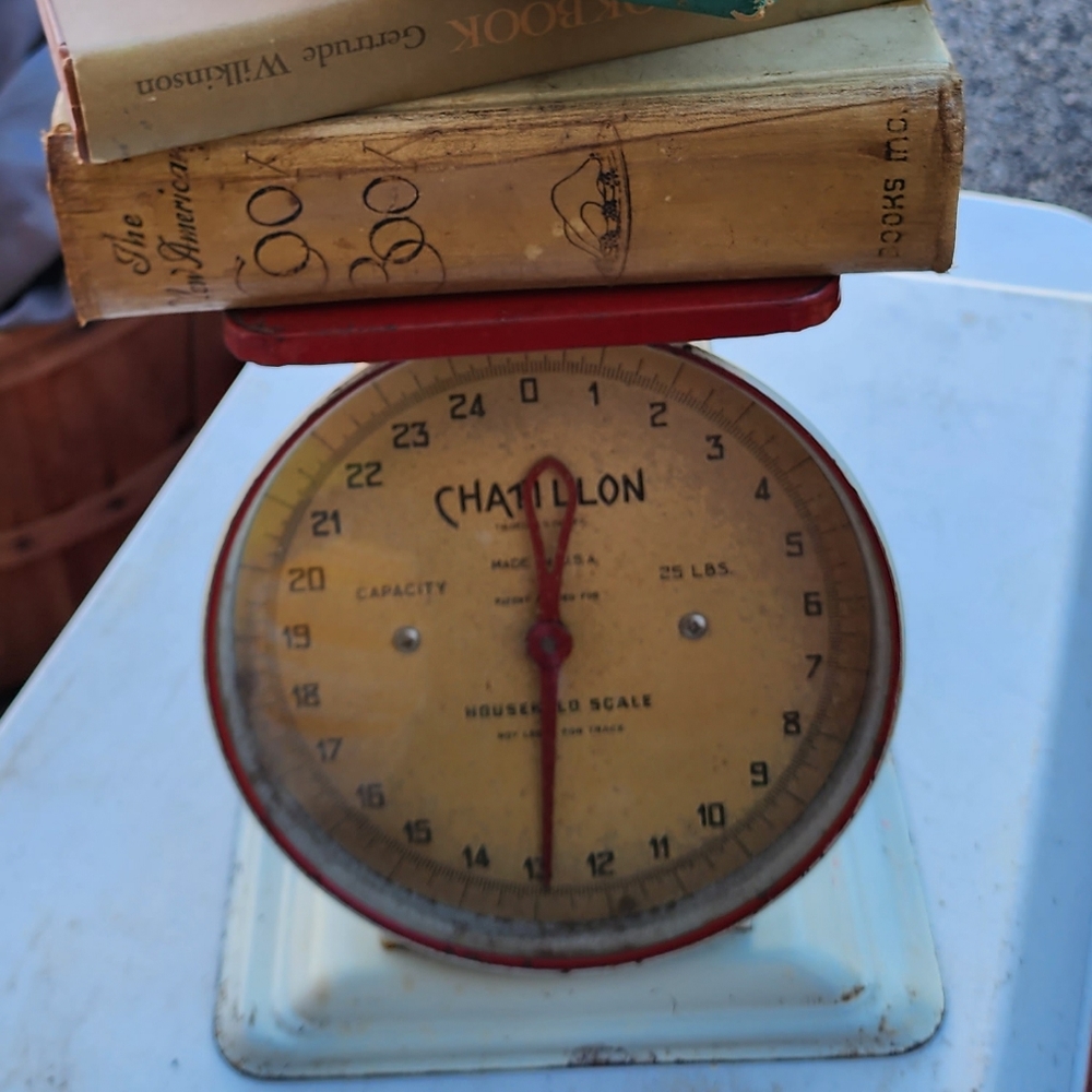 Chatillon scale